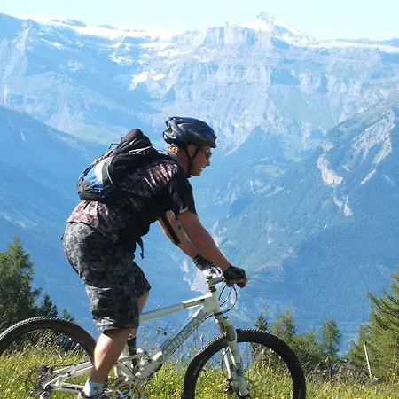 Appartement Alpvision Rasidences D3 *